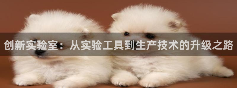 意昂体育3平台假的吗是真的吗吗：创新实验室：从实验工具到生产