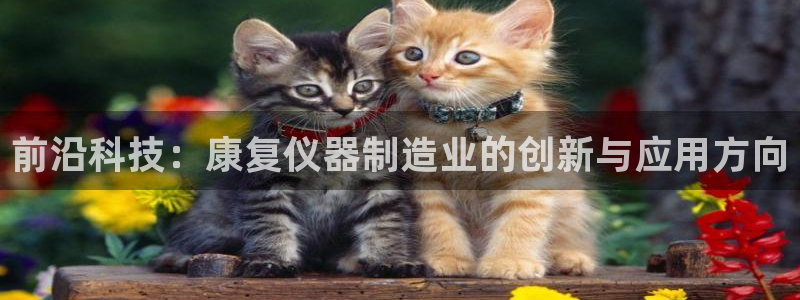 意昂3集团官网网址：前沿科技：康复仪器制造业的创新与应用方向