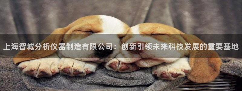 意昂3集团简介：上海智城分析仪器制造有限公司：创新引领未来科