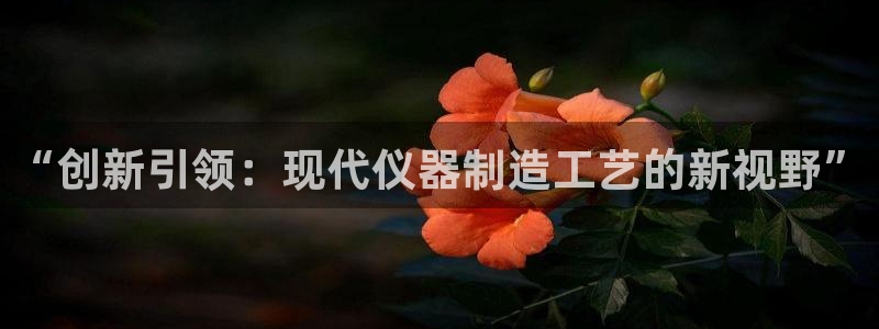 意昂集团官网：“创新引领：现代仪器制造工艺的新视野”