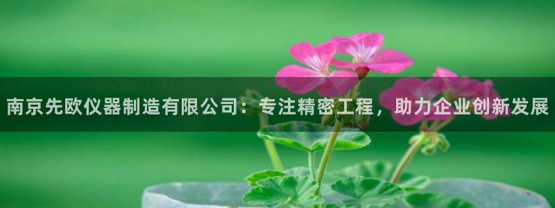 意昂体育3招商电话号码：南京先欧仪器制造有限公司：专注精密工