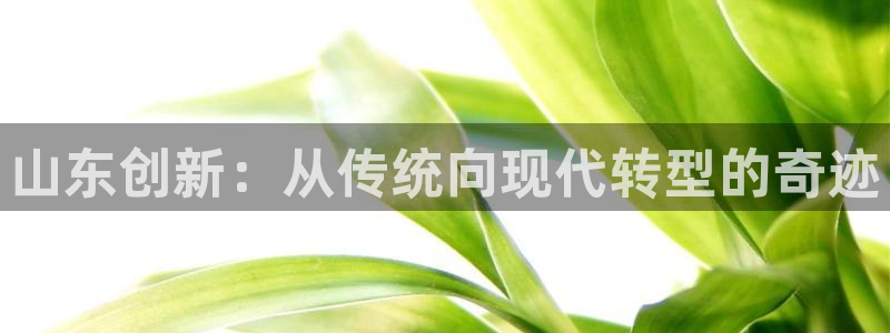 意昂体育3招商电话号码：山东创新：从传统向现代转型的奇迹