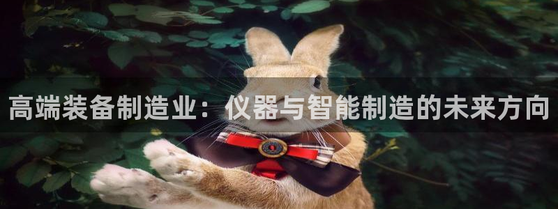 意昂3集团官网网址：高端装备制造业：仪器与智能制造的未来方向