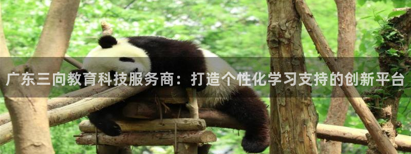 意昂3开户：广东三向教育科技服务商：打造个性化学习支持的创新