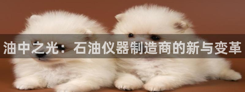 意昂体育3平台注册流程图：油中之光：石油仪器制造商的新与变革