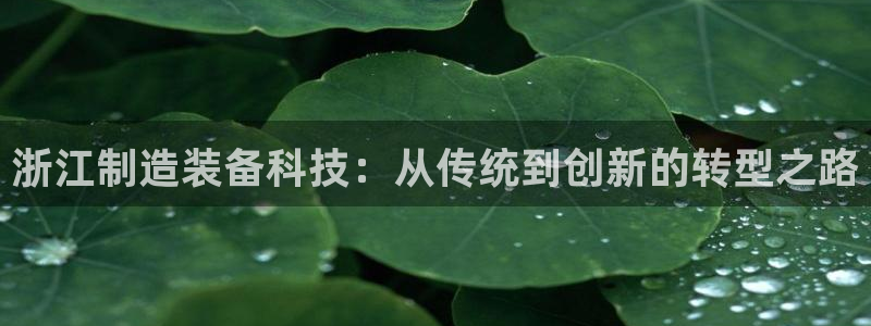 意昂3娱乐平台：浙江制造装备科技：从传统到创新的转型之路