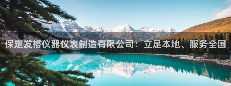 意昂体育3招商电话号码：保定发格仪器仪表制造有限公司：立足本