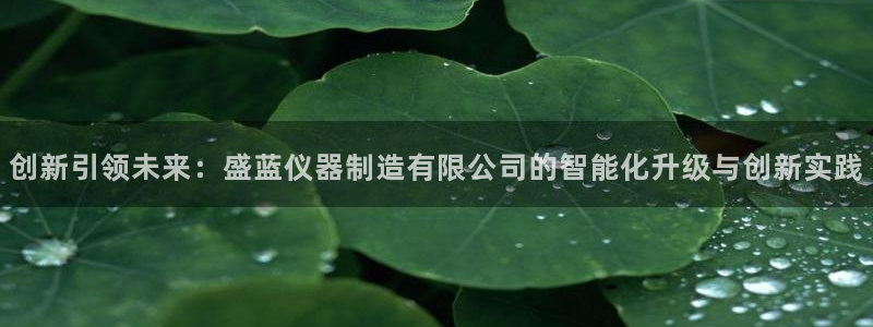 意昂体育3招商电话号码查询是多少：创新引领未来：盛蓝仪器制造