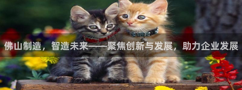 意昂3集团官网网址：佛山制造，智造未来——聚焦创新与发展，助