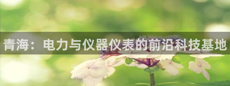 意昂3代理：青海：电力与仪器仪表的前沿科技基地