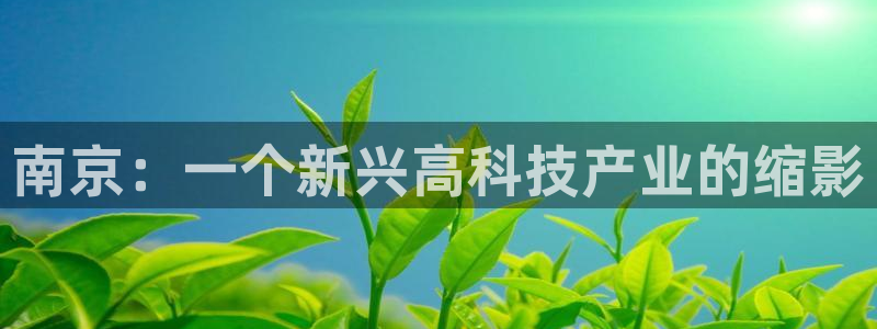 意昂3集团简介：南京：一个新兴高科技产业的缩影