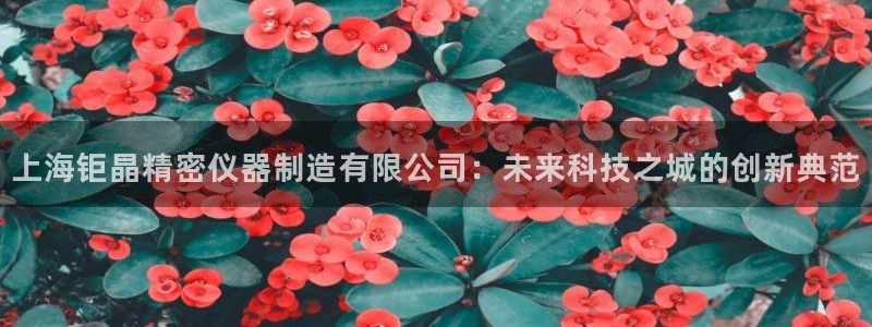 意昂体育3招商电话地址：上海钜晶精密仪器制造有限公司：未来科