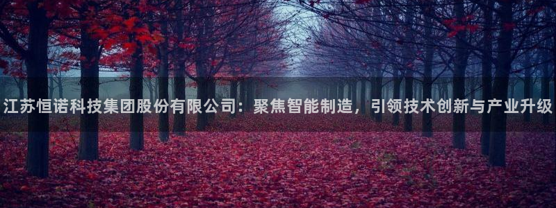 意昂3娱乐首页网站大全：江苏恒诺科技集团股份有限公司：聚焦智