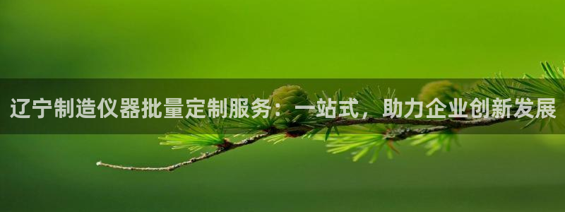 意昂体育3招商电话是多少号码：辽宁制造仪器批量定制服务：一站