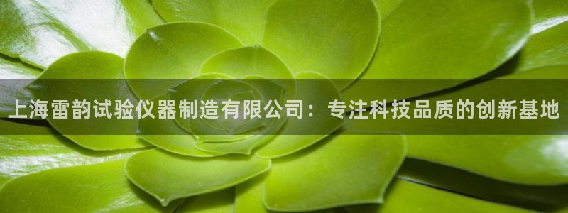 意昂3开户：上海雷韵试验仪器制造有限公司：专注科技品质的创新
