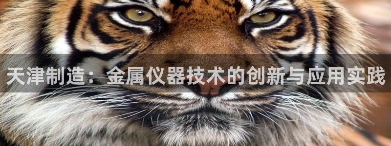 意昂3娱乐40996：天津制造：金属仪器技术的创新与应用实践