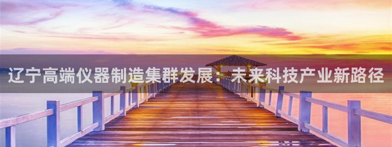 意昂体育3平台APP：辽宁高端仪器制造集群发展：未来科技产业