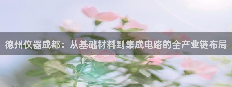 海南意昂体育3发展怎么样：德州仪器成都：从基础材料到集成电路