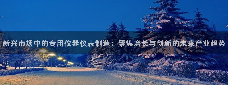 意昂3娱乐：新兴市场中的专用仪器仪表制造：聚焦增长与创新的未