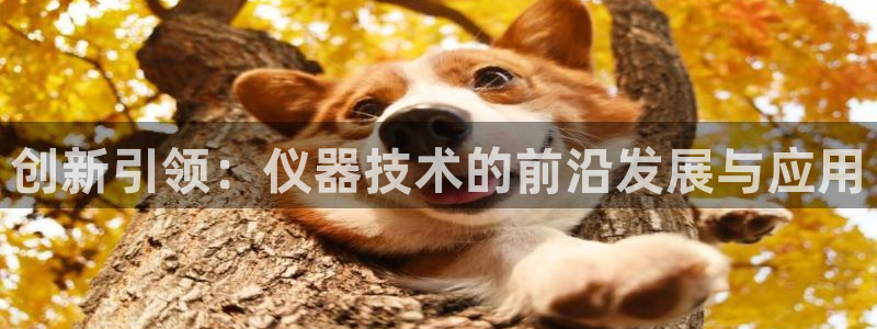 意昂集团官网：创新引领：仪器技术的前沿发展与应用
