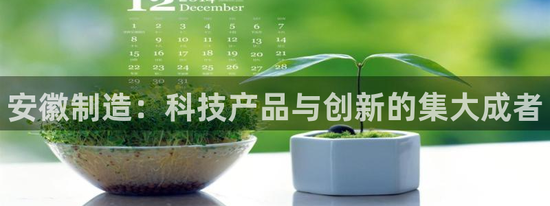 意昂体育3平台注册流程图：安徽制造：科技产品与创新的集大成者