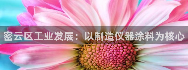 意昂体育3平台注册：密云区工业发展：以制造仪器涂料为核心