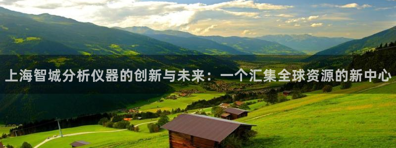 意昂体育3平台注册流程图：上海智城分析仪器的创新与未来：一个