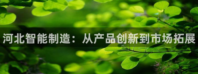 意昂3五金厂：河北智能制造：从产品创新到市场拓展