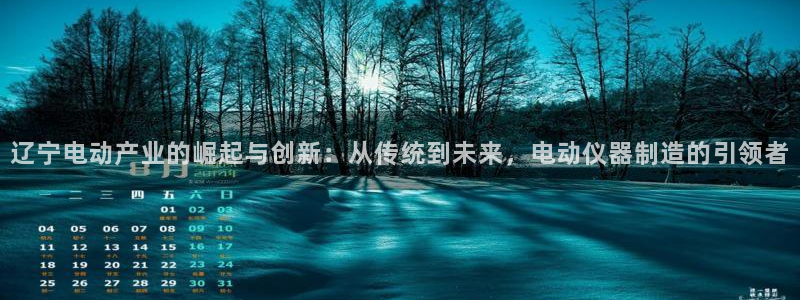 意昂平台体育：辽宁电动产业的崛起与创新：从传统到未来，电动仪
