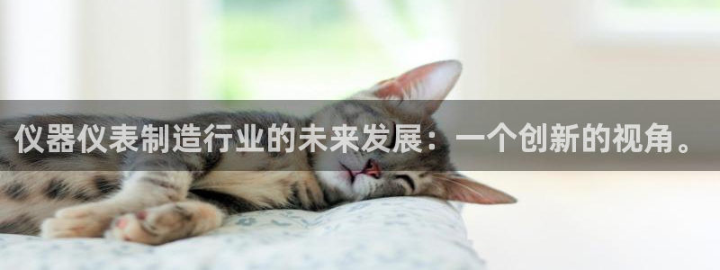 意昂3神州：仪器仪表制造行业的未来发展：一个创新的视角。