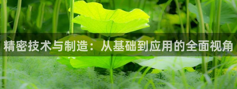 注册意昂3：精密技术与制造：从基础到应用的全面视角