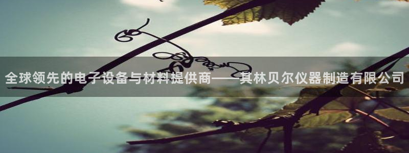 意昂3新能源：全球领先的电子设备与材料提供商——其林贝尔仪器