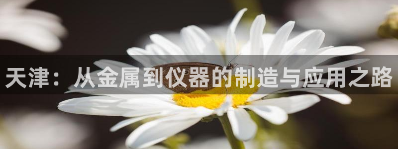 意昂体育3招商电话地址：天津：从金属到仪器的制造与应用之路