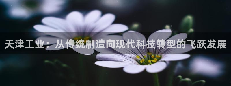 意昂体育3联系电话：天津工业：从传统制造向现代科技转型的飞跃