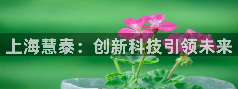 意昂3集团：上海慧泰：创新科技引领未来