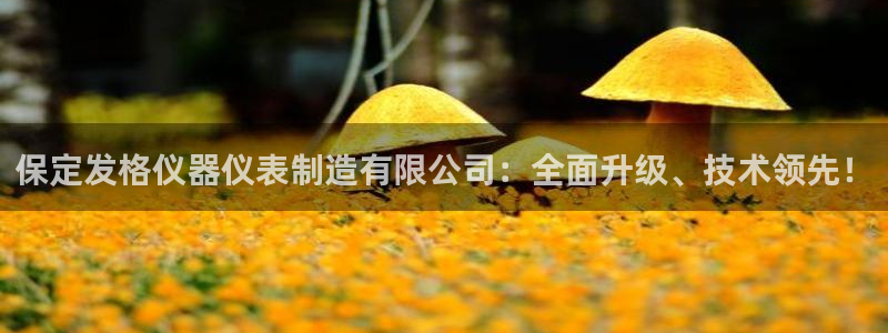 意昂体育3平台注册要钱吗：保定发格仪器仪表制造有限公司：全面