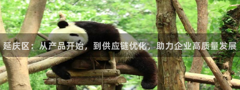 意昂体育3招商：延庆区：从产品开始，到供应链优化，助力企业高