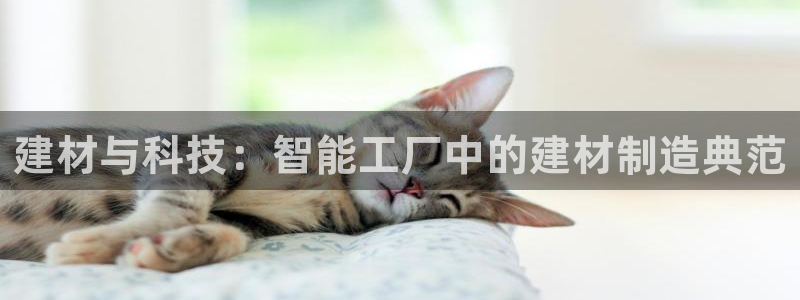 意昂体育3平台假的吗是真的吗吗