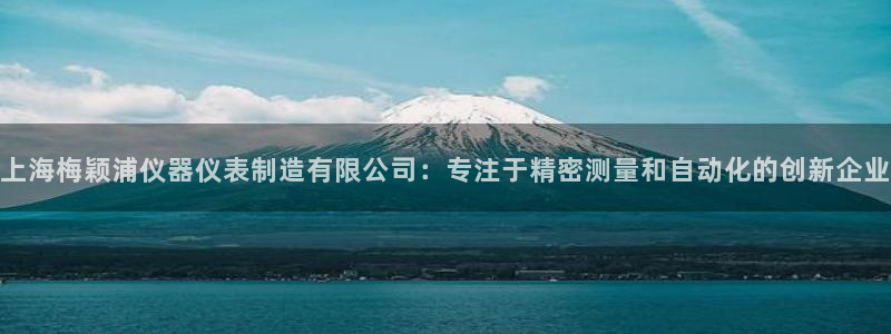 意昂3娱乐下载：上海梅颖浦仪器仪表制造有限公司：专注于精密测