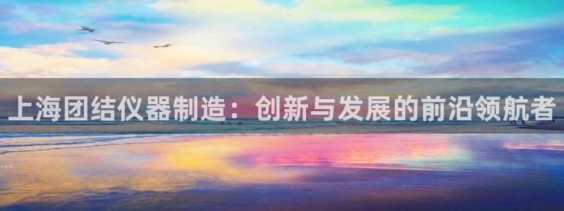 意昂体育3招商电话地址：上海团结仪器制造：创新与发展的前沿领