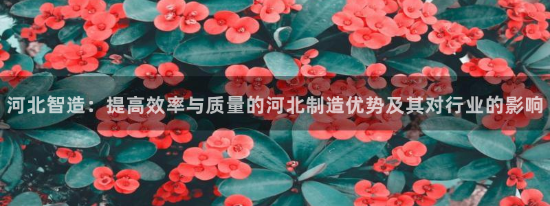 意昂3集团官网首页网址：河北智造：提高效率与质量的河北制造优