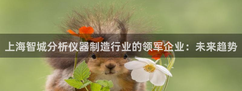 意昂3娱乐网站：上海智城分析仪器制造行业的领军企业：未来趋势