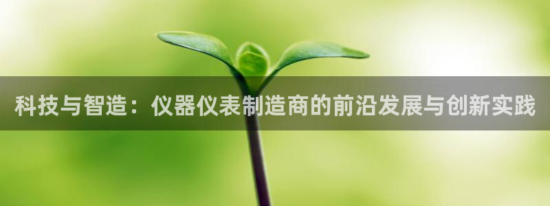 意昂体育3招商电话号码是多少啊：科技与智造：仪器仪表制造商的