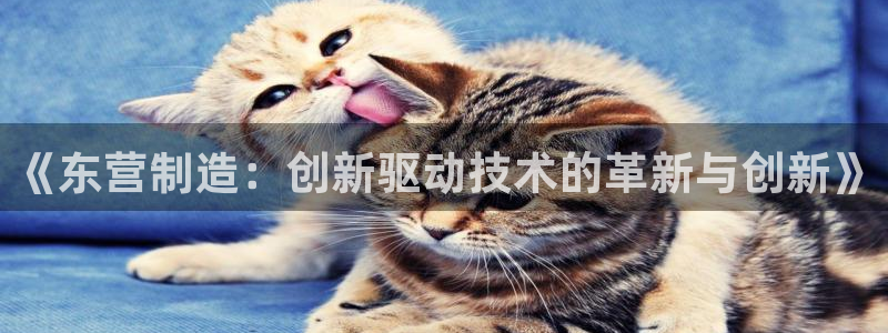 意昂体育3平台注册流程视频：《东营制造：创新驱动技术的革新与