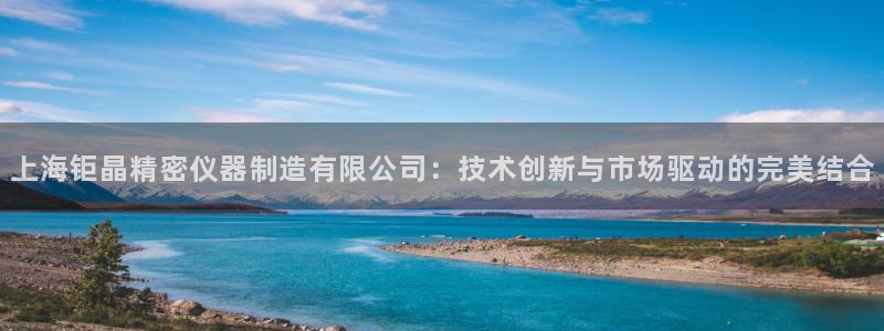 意昂3官方：上海钜晶精密仪器制造有限公司：技术创新与市场驱动