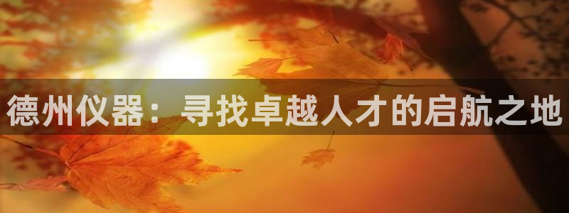 意昂3官方：德州仪器：寻找卓越人才的启航之地