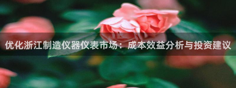 意昂3娱乐40996：优化浙江制造仪器仪表市场：成本效益分析