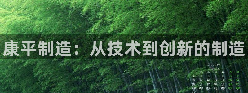 意昂3新能源：康平制造：从技术到创新的制造