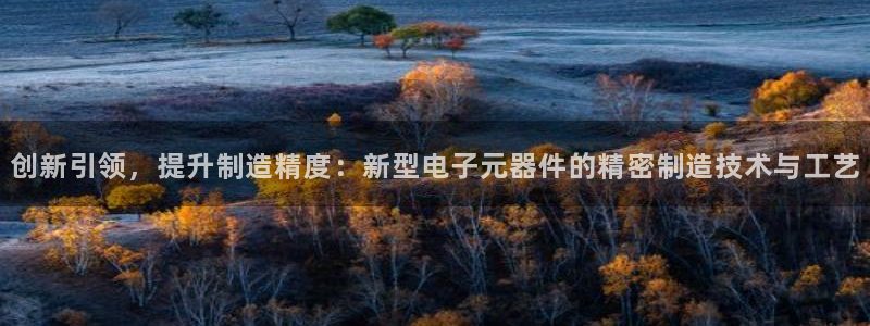 意昂3娱乐：创新引领，提升制造精度：新型电子元器件的精密制造