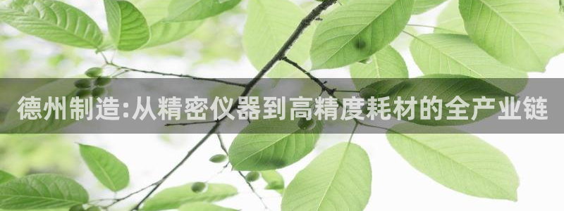 意昂3集团：德州制造:从精密仪器到高精度耗材的全产业链
